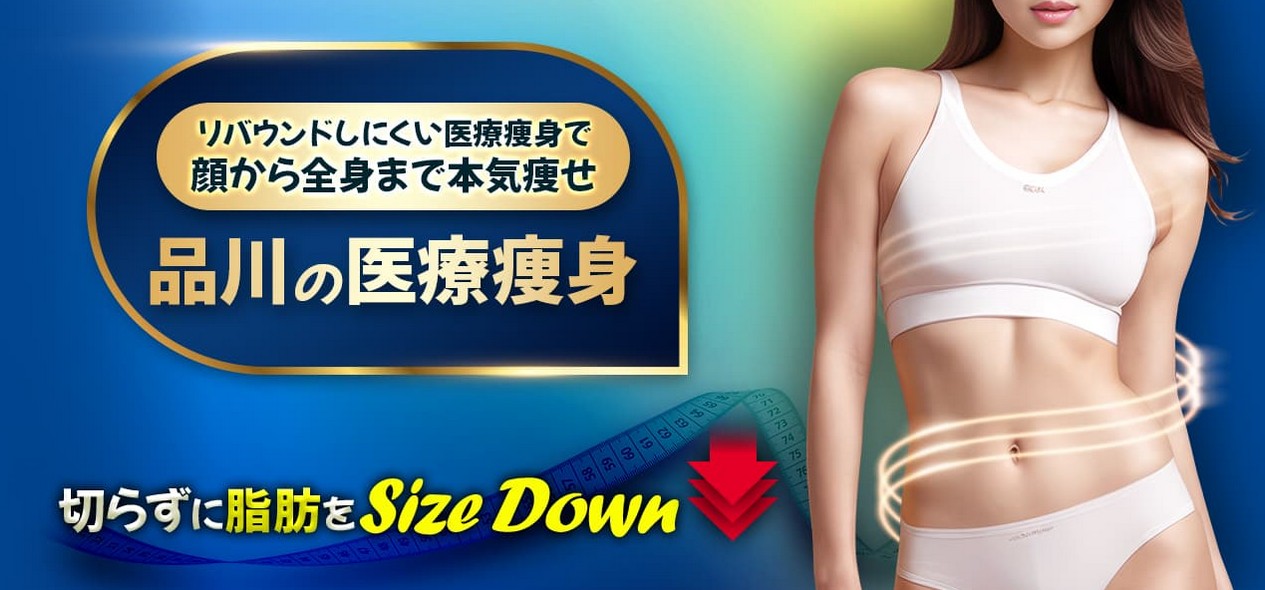 品川美容外科ダイエット